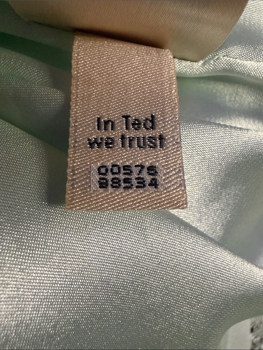 Ted Baker Raenna Mint Green Lace Sheath Dress 4 Elegant Cocktail Wedding Guest - Picture 14 of 14